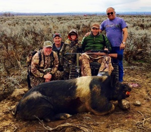 Russian Boar harvested in Idaho 
